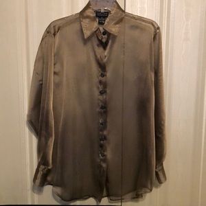 Limited shimmery sheer blouse.